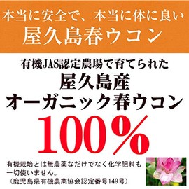 屋久島春ウコン粒（100粒） [M便 1/3]