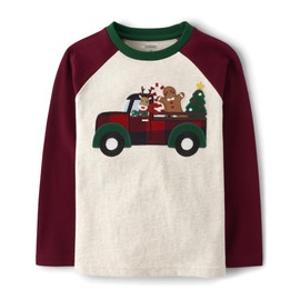 Gymboree,and Toddler Embroidered Graphic Long Sleeve T-Shirts,Christmas Cabin,4T