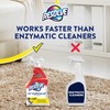 Resolve Pet Specialist Urine Destroyer Spray – Pet Stain &
