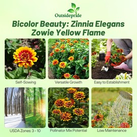 Outsidepride Zinnia Elegans Zowie Yellow Flame Seeds – 15 Pieces Annual, Heat & Drought Tolerant, Zinnia Flower Seeds w/Bicolor Blooms, Pollinator-Friendly for Garden Beds & Landscapes (AAS Winner)