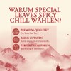 Special Leaves Spicy Chill Chai Tea, Green Tea with Spices