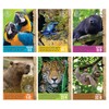 Fun Express Jungle VBS Classroom Poster Set - 6 Piece,