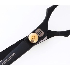 Professional Hairdressing Scissors 6.5 Inch, Jet Black, with Presentation Case