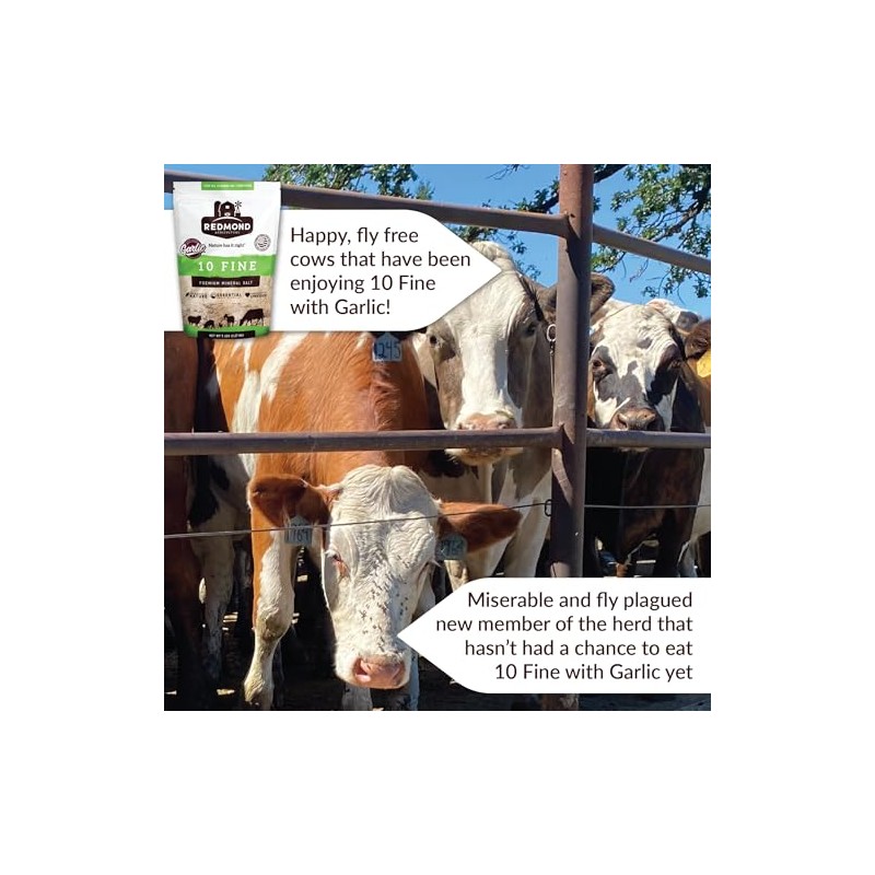 REDMOND 10 Fine with Garlic 5lb Pouch