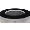 Airvana Replacement True HEPA Filter for AV600APH 2-in-1 True HEPA