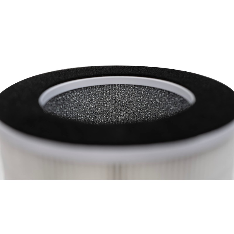 Airvana Replacement True HEPA Filter for AV600APH 2-in-1 True HEPA