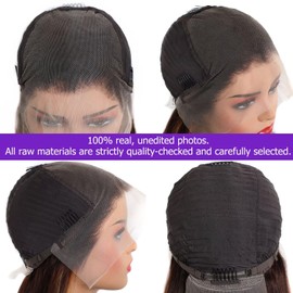 Lemoda 13x6 Highlight Straight Lace Frontal Human Hair Wigs Ombre 4/27 Outlets Sale 200 Density 20Inch 13x6 HD Transparent Lace Front Wigs Pre Plucked