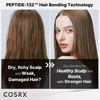 COSRX PEPTIDE 132 Hair Care Set - Bonding Shampoo, Treatment