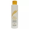 Kongshim Patsim [콩심팥심]칙칙한 피부를 환하게 가꾸어주는 여자 로션 150ml [Bean & Red Bean] Brightening Lotion for Dull Skin 150ml