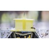 Raid Yellow Jacket and Wasp Trap (3-Pack) – Outdoor Disposable
