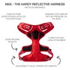 Pet Passion MAX - The Hardy Reflective Harness, RED, Small
