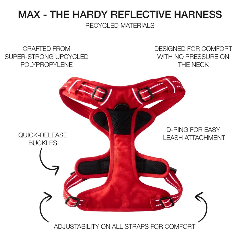 Pet Passion MAX - The Hardy Reflective Harness, RED, Small