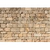 Fmarui Rustic Stone Wall Backdrop Brick Wall Photography Background 10x8ft