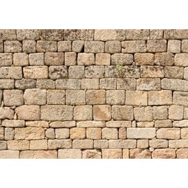 Fmarui Rustic Stone Wall Backdrop Brick Wall Photography Background 10x8ft
