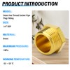 TAILONZ PNEUMATIC Brass Male Hexagonal Thread Socket Pipe Plug Fitting