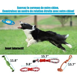 FONPOO Dog Toys Avoiding Dogs Boredom Anxiety Puppy Toys for Small&Medium Dog Rope Toy Birthday Gift Sets (Blue, Set of 10)