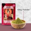 Henne Color Henna Powder 100g (Pack of 3) (Auburn)