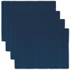 LINUM Plain Pack of 4 Placemats 35 x 46 cm
