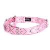 Country Brook Petz - Pink Bandana Martingale Dog Collar -