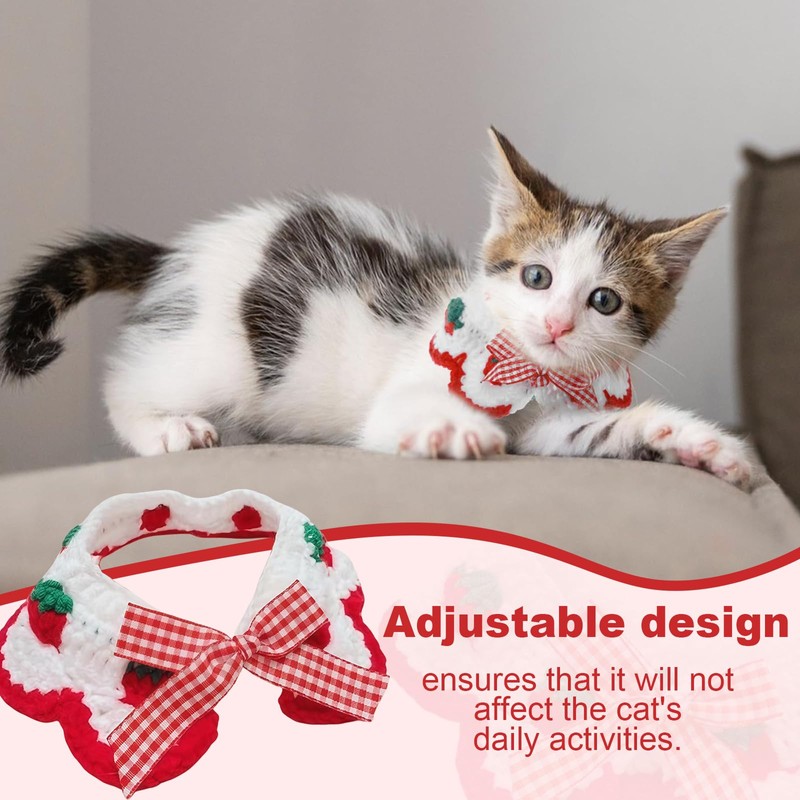OuryTech Cat Collar, Cat Collar and Safety Collar, Breakaway Kitten