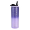 Skinny Straw Lilac Dreaming 20onz, IceShaker