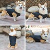 IVDD Back Brace for Dogs, Flexible Pet Dachshund Back Supporting
