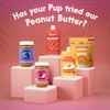 BUDDY BUDDER 3PK Bites, Peanut Butter Dog Treats (Pumpkin, Bacon,