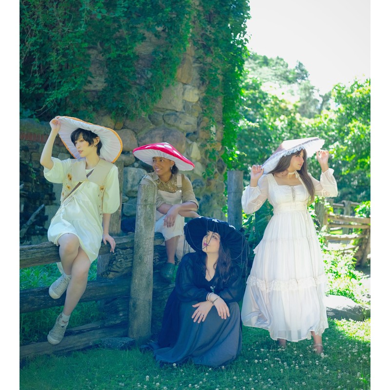 Dreamstall Mushroom Hat Costume Cosplay Accessory Party Hat Cap, Oversized