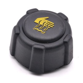 HAOTOM Coolant Tank Cap for Dacia Dokker Duster Logan Sandero for Nissan Juke NV200 NV400 Qashqai for Opel Movano Vivaro for Renault Clio Kadjar Captur Espace
