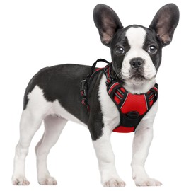rabbitgoo Dog Harness, No-Pull Pet Harness with 2 Leash Clips, Adjustable Soft Padded Vest, Reflective No-Choke Pet Oxford Vest with Easy Control Handle for Small Dogs, Red, S