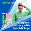 Berocca Mind Effervescent Tablets Including B Vitamins, with Spanish Sage