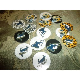 Unbranded Pre Cut One Inch AKRON ZIPS FREE SHIP - 25 Bottle Cap Images