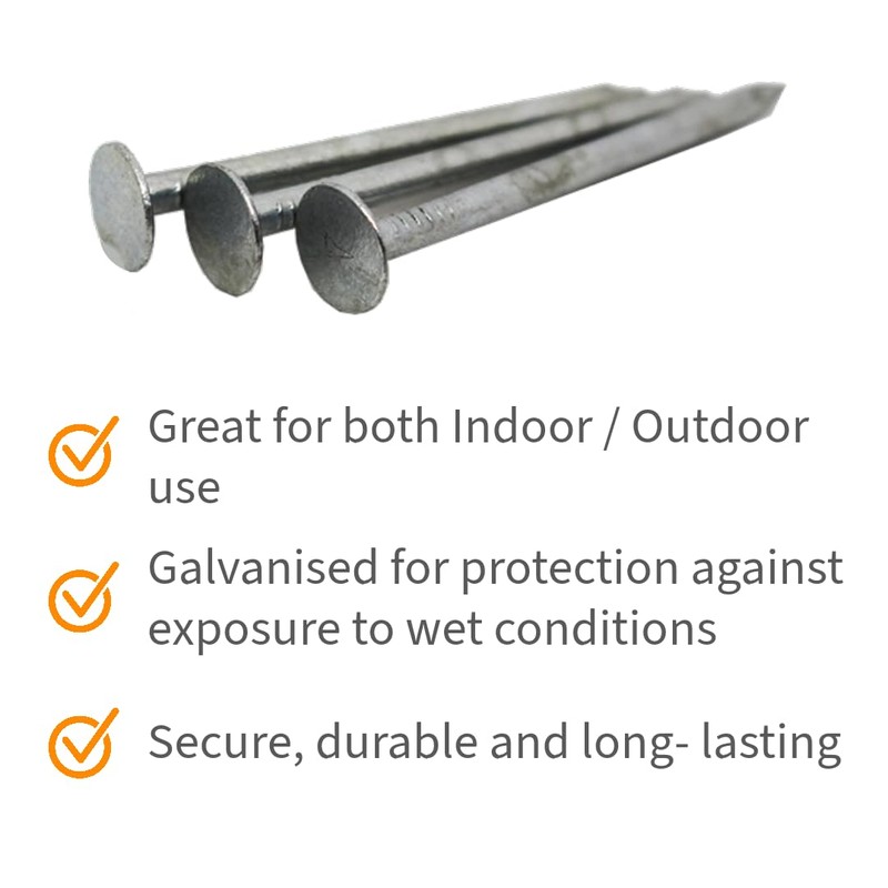 Galvanised Clout Nails Extra Large Head - 40mm (Pack of