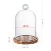 MyGift 5 Inch Mini Clear Glass Bell Display Cloches with
