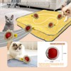 HUPIRCT Interactive Cat Toys for Indoor Cats, Fast Rolling Ball