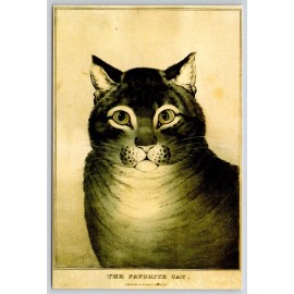 The Favorite Cat Nathaniel Currier 1834-1857 Art Postcard 6x4