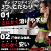 グルタミン パウダー 粉末 低臭製法 国内加工 【MADPROTEIN】マッドプロテイン (1kg)