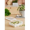 Gastromax Lunch Box 0.6 Liter Transparent White Colour, 0,6 L