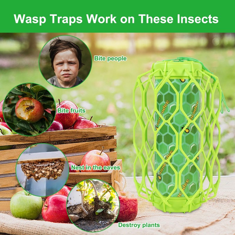 Sancodee 2 Pack Upgraded Wasp Trap Outdoor Hanging, Carpenter Bee