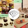 Kitchen Helpis® Practical Chestnut Drill Set, 5-Piece Chestnut Set, 1.5-5