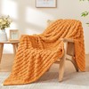 BEDELITE Updated Burnt Orange Throw Blanket for Couch and Bed-