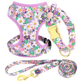 Beirui Cute Girl Dog Collars, Harnesses & Leashes Set - Adjustable Dog Collar and Leash Set with Flower - Soft Mesh Dog Vest Harness for Puppies Small Medium Dogs (Purple,S)