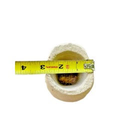 ESHU ESU ELEGUA HEAD Statue  ELEGGUA RELIGION YORUBA IFA