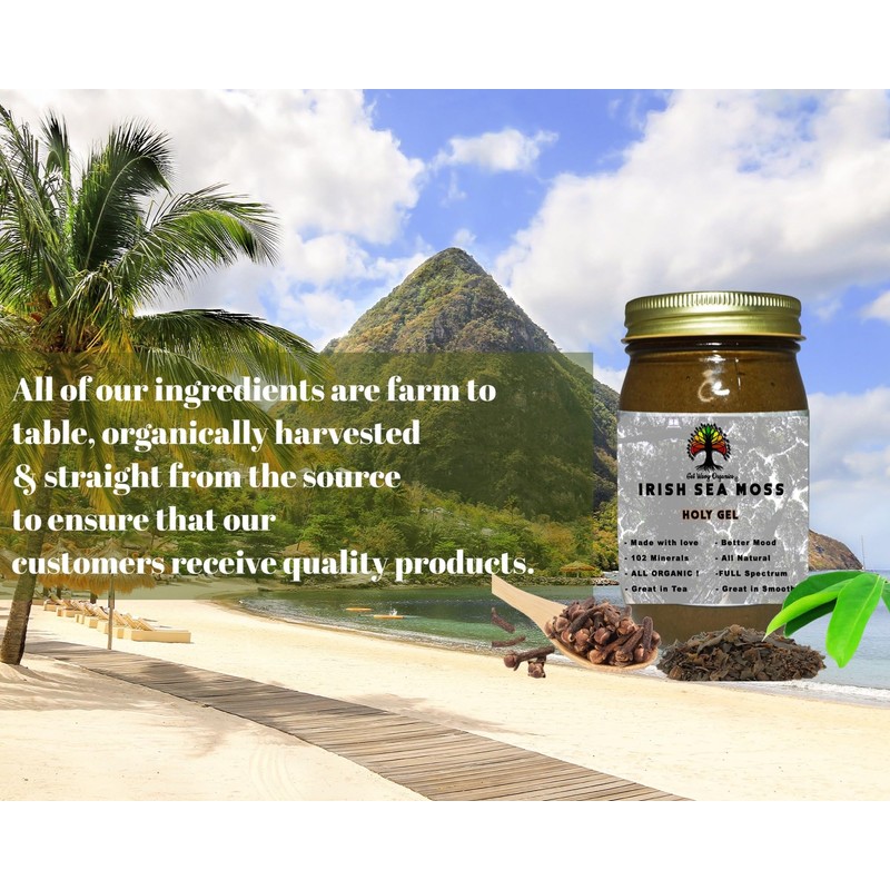 GET WAVY ORGANICS Irish Sea Moss Gel with Bladderwrack, Soursop