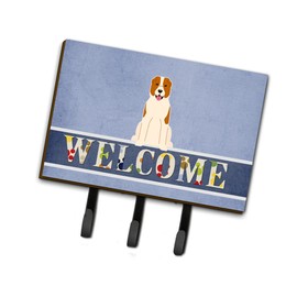 Caroline's Treasures BB5630TH68 Central Asian Shepherd Dog Welcome Wall Hook, Triple, Multicolor