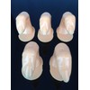 Beauticom® Nail Art Practice Fingers (With Fake Nail Tip Attached)