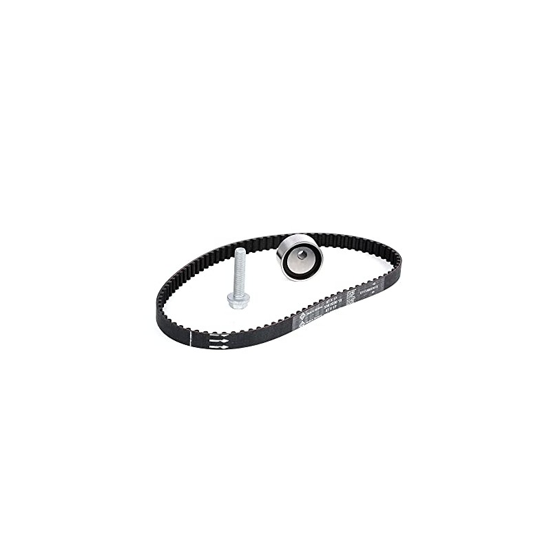 INA 530 0182 10 Timing Belt Kit