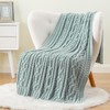 Battilo Sage Green Throw Blanket for Couch,51"x67", Cable Chenille Knitted