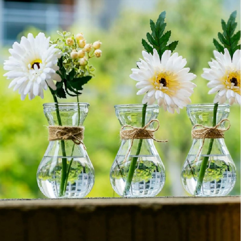 Glass Bulb Vases for Flowers Forcing Hyacinth Clear Decorative Bulb
