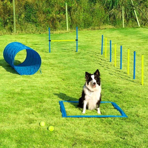 Sowsun Dog Agility Training Equipment, Dog Obstacle Course Includes Dog Jump Hurdle, Dog Tunnel, Pause Box, Weave Poles with 2 Carry Bags, Pet Jumping Starter Kit for Jumping Practice